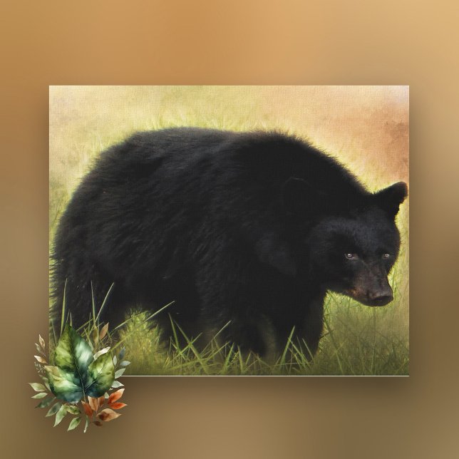 Black Bear Photo Art Canvas (Skapare uppladdad)
