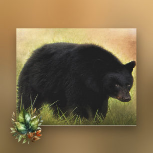 Black Bear Photo Art Canvas