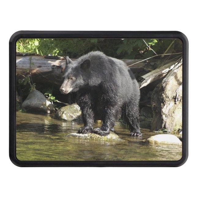 Black Bear "Salmon Spotting" Wildlife Skydd För Dragkrok (Framsidan)