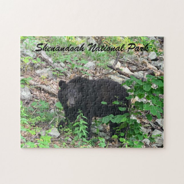 Black Bear Shenandoah National Park Virginia Pussel (Horisontell)