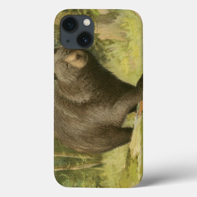 Black Bear Stepping på en Träd Trunk (Baksida)