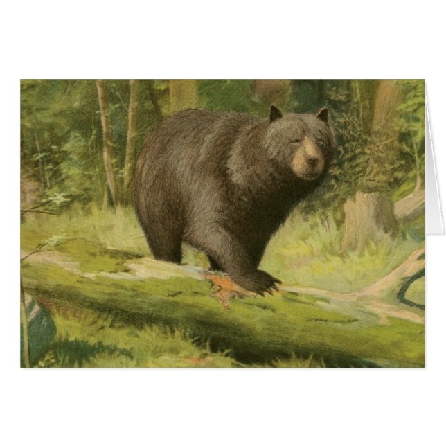 Black Bear Stepping på en Träd Trunk Hälsningskort (Framsidan Horizontal)