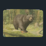 Black Bear Stepping på en Träd Trunk iPad Mini Skydd<br><div class="desc">Den här bran av Oliver Kemp-tryckningen illustrerar en brunbjörn som brinner på ett fallande träd i en skog. Pastellernas grönt färg lugnar sig för öga och skapar en varm känsla av den uppvaknande naturen i vår. Ett underbart tillägg till varje rustik hemdekoration!</div>