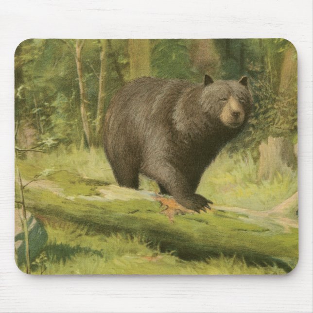Black Bear Stepping på en Träd Trunk Musmatta (Framsidan)