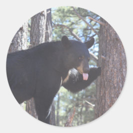 Black Bear Stickers Runt Klistermärke