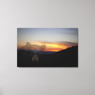Black Bear Sunset Canvastryck