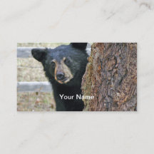 Black Bear Träd Photo