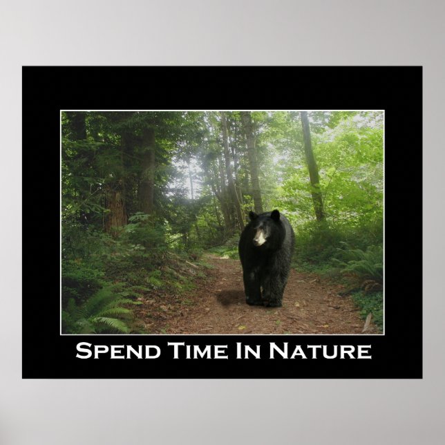 BLACK BEAR TRAIL Motivering Poster (Framsidan)