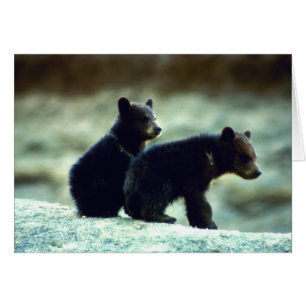 Black Bear unge Hälsningskort