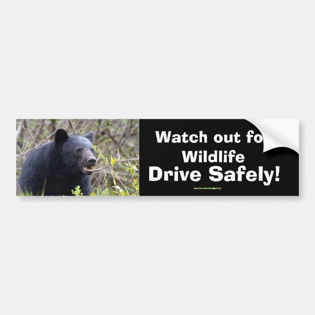 Black Bear Unge Wildlife Supporter Bumper Sticker Bildekal (Framsidan)