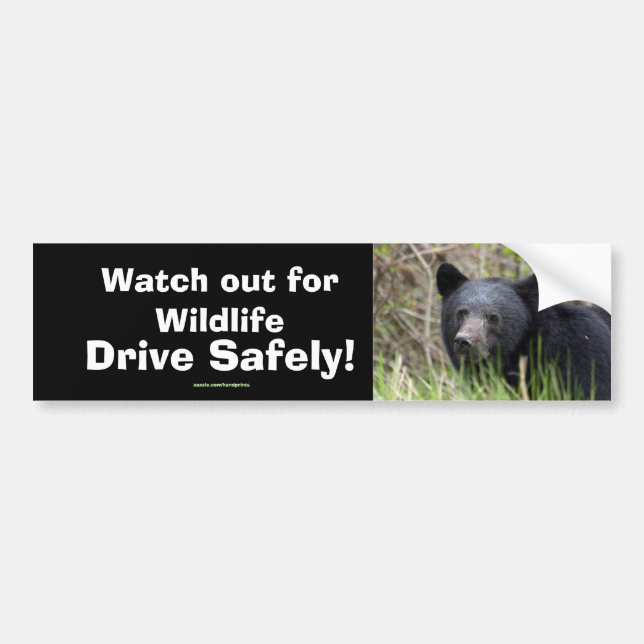 Black Bear Unge Wildlife Supporter Bumper Sticker Bildekal (Framsidan)