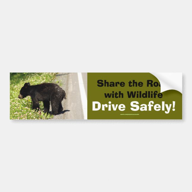 Black Bear Unge Wildlife Supporter Bumper Sticker Bildekal (Framsidan)