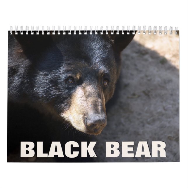 Black Bear Wall Calendar Kalender (Omslag)