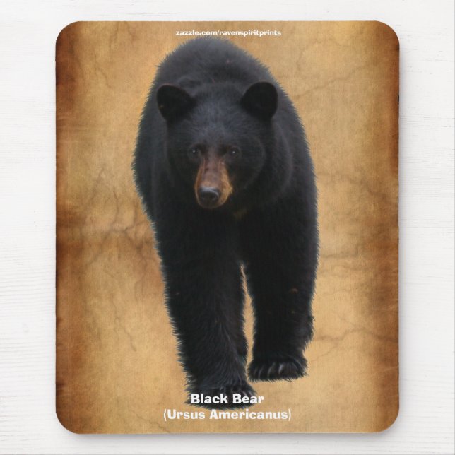 Black Bear Wildlife Supporter Mousepad Musmatta (Framsidan)
