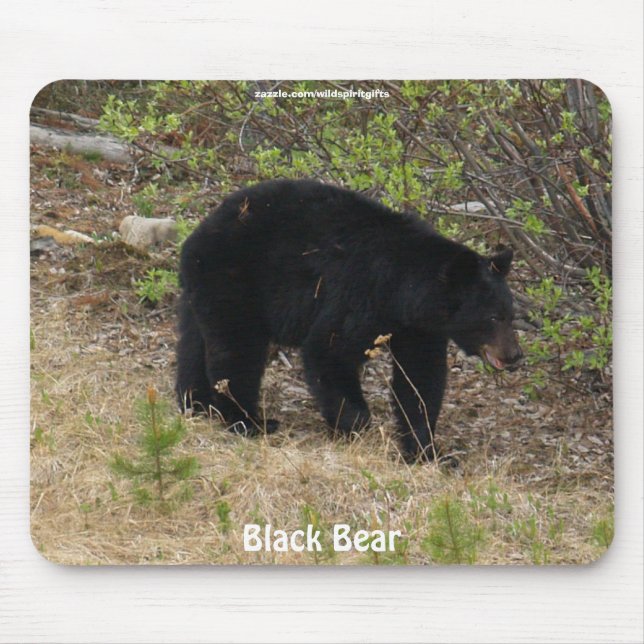 Black Bear Wildlife Supporter Mousepad Musmatta (Framsidan)