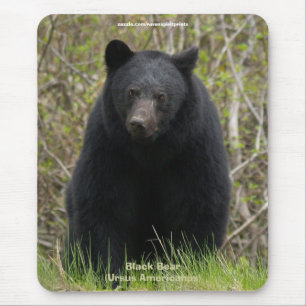 Black Bear Wildlife Supporter Mousepad Musmatta