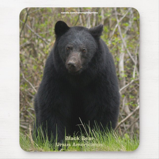 Black Bear Wildlife Supporter Mousepad Musmatta (Framsidan)