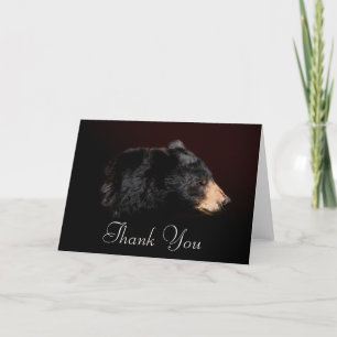 Black Bear Wildlife - tackkort