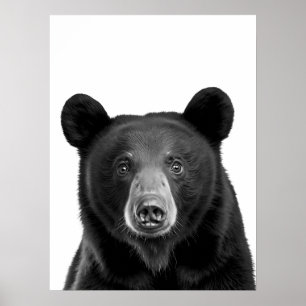 Black Bear Woodland Modern Porträtt svartvit Poster