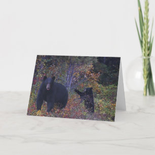 BLACK BEARS Wildlife-hälsningskort Kort