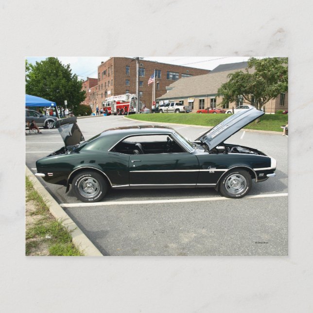 Black Beauty 2 Vykort (Framsida)