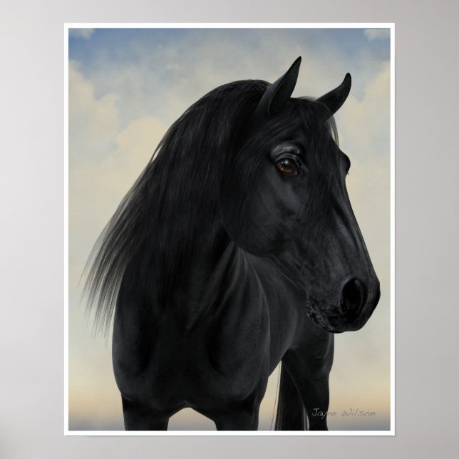 Black Beauty - Black Friesian Horse Porträtt Poster (Framsidan)