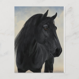 Black Beauty - Black Friesian Horse Porträtt Vykort