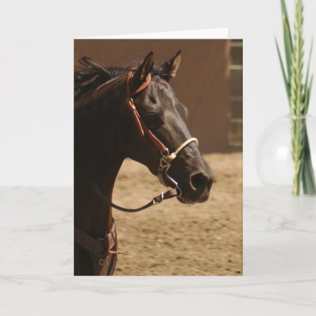 Black Beauty Blank Inside Greeting Card Kort (Framsida)
