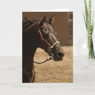 Black Beauty Blank Inside Greeting Card Kort