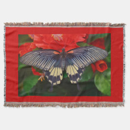 Black Beauty Butterfly Filt