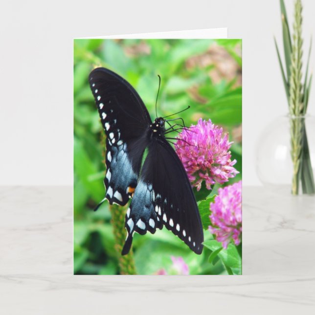 Black Beauty Butterfly Greeting Card Kort (Framsida)
