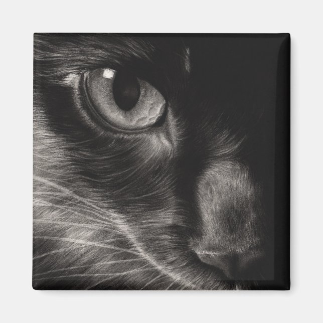 Black Beauty Cat Magnet (Framsidan)