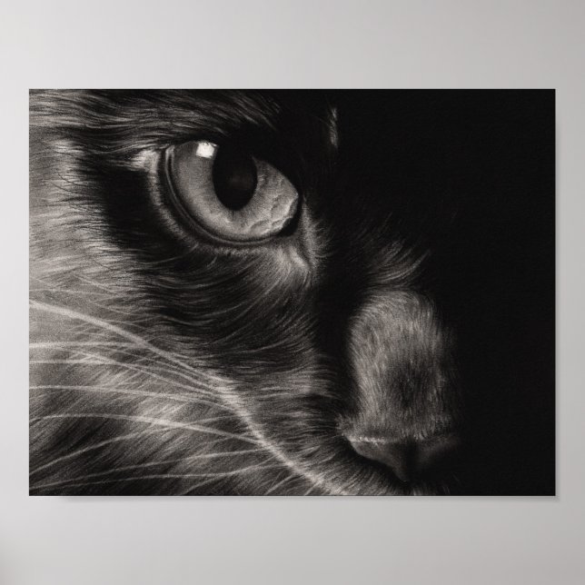 Black Beauty Cat Poster (Framsidan)