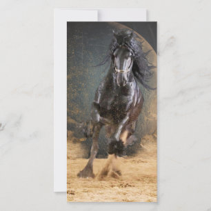 Black Beauty Friesian-häst - Välkomstkort Tack Kort