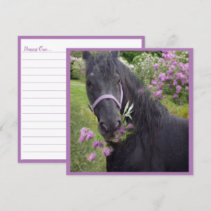 Black Beauty Friesian Horse - gratulationskort Julkort