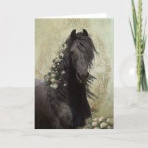 Black Beauty Friesian Horse - gratulationskort