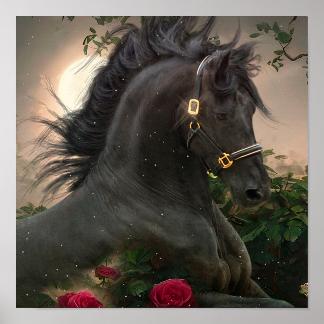 Black Beauty Friesian Horse - Poster (Framsidan)