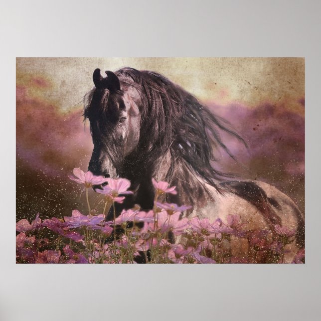 Black Beauty Friesian Horse - Poster (Framsidan)