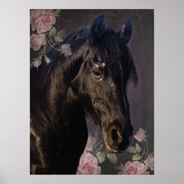 Black Beauty Friesian Horse - Poster (Framsidan)