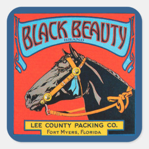 Black Beauty Horse på Red Background Fyrkantigt Klistermärke