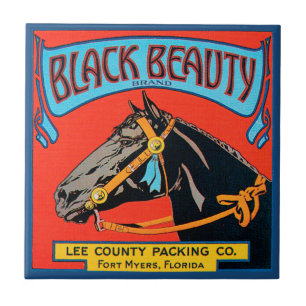 Black Beauty Horse på Red Background Kakelplatta