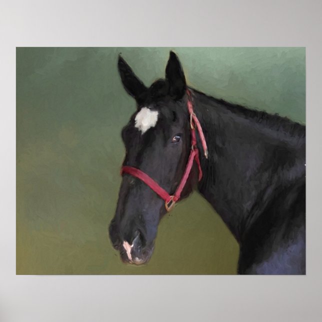 Black Beauty Poster (Framsidan)