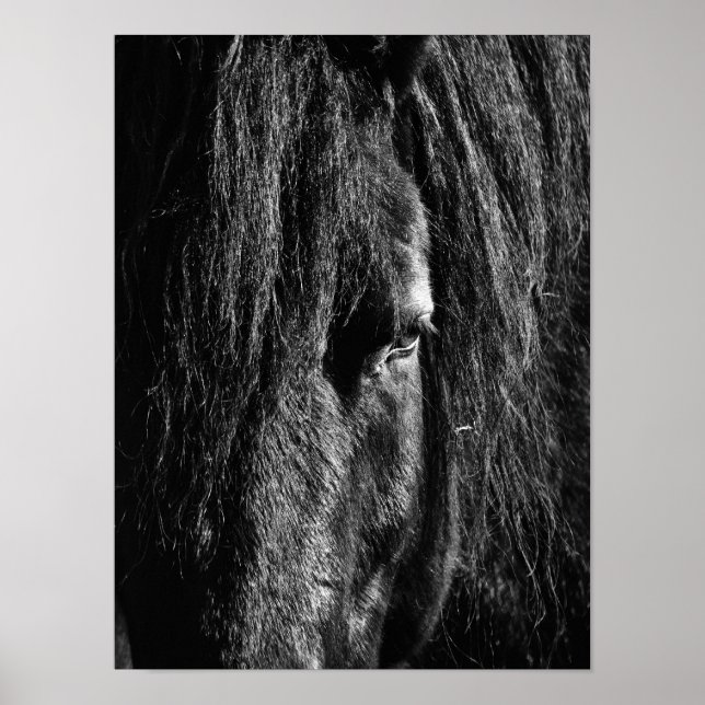 Black Beauty - Poster (Framsidan)
