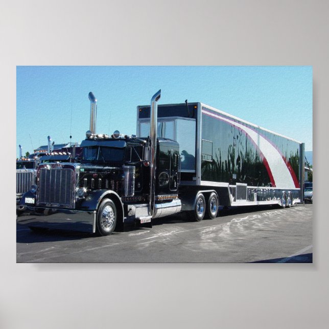 Black Beauty Poster (Framsidan)