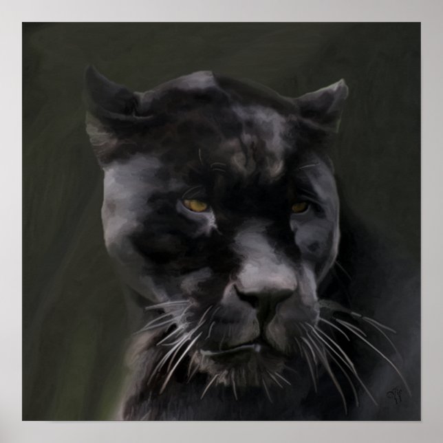 Black Beauty Poster (Framsidan)