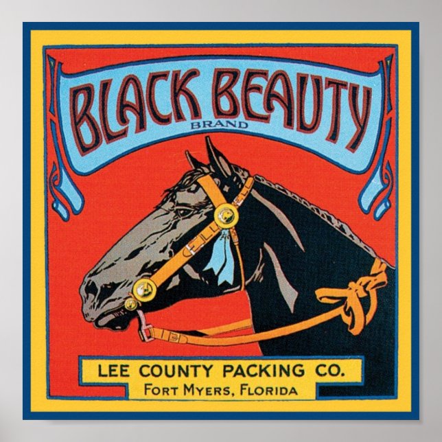 Black Beauty Vintage Låda-etikett - häst Poster (Framsidan)