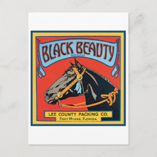 Black Beauty Vintage Låda-etikett - häst Vykort