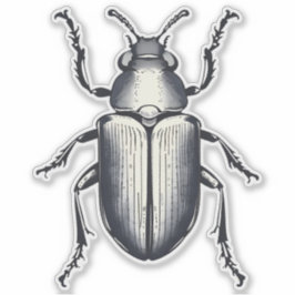 Black Beetle Sticker Klistermärken