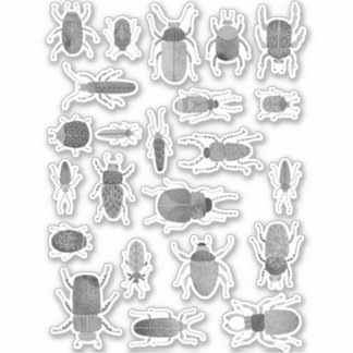 Bläck Beetles Kryp och Insektra färger Klistermärken
