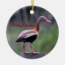 Black Belllied Whistling Anka, God jul Julgransprydnad Keramik